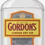 GORDONS GIN