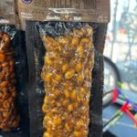 BIG WILLY’S GARLIC HOT PEANUTS