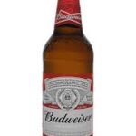 Budweiser Lager Beer